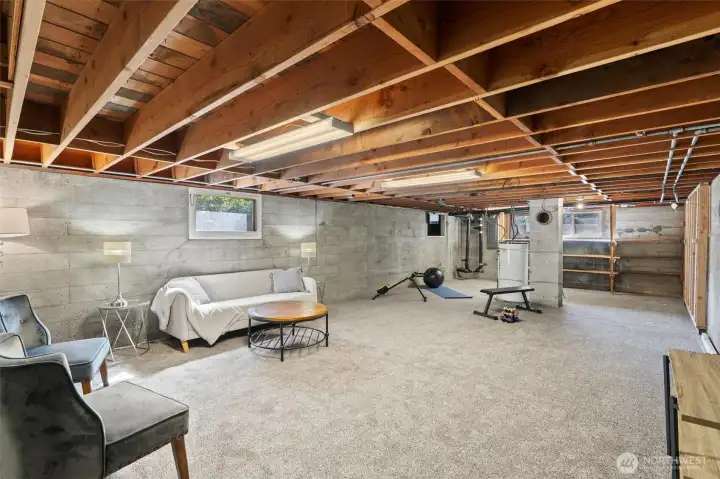 HUGE basement area, perfect for entertaining, flex area living space...you name it!