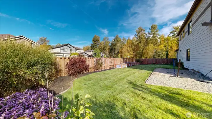 Large Corner Lot - backyard with lush lawn and mature landscaping