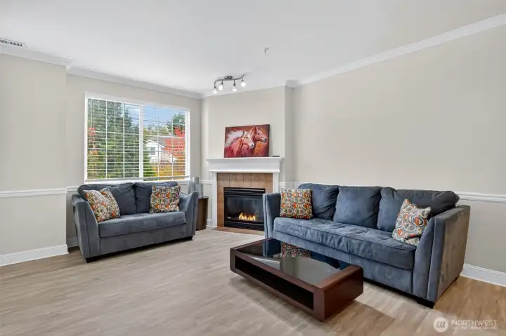 Living room with fireplace
