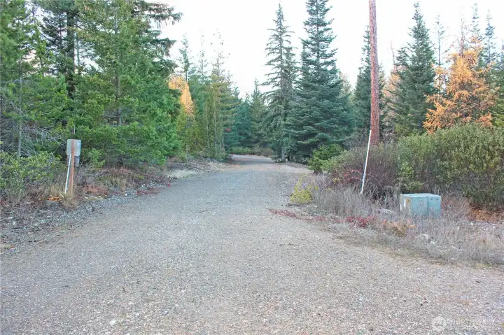 Driveway heading out to the road.