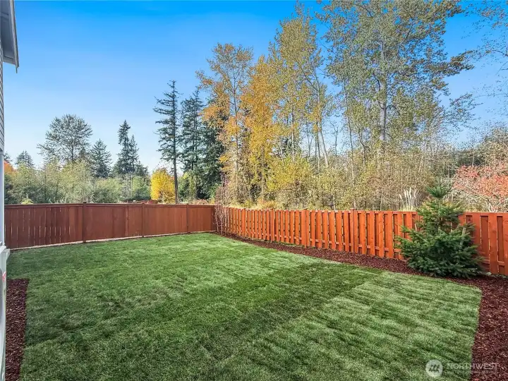 Actual backyard of the home