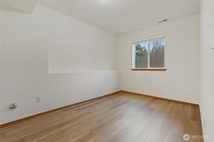 Lower Level bedroom