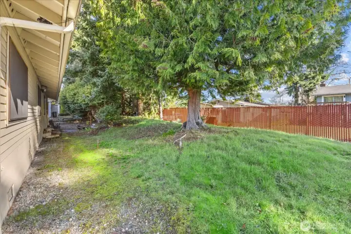 Back yard area! Lawn maintained by HOA