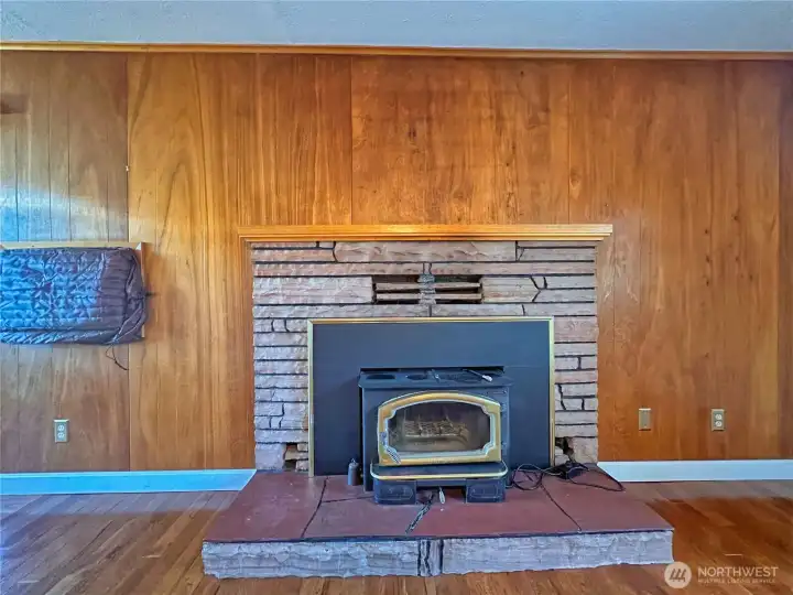 Cozy wood burning fireplace insert