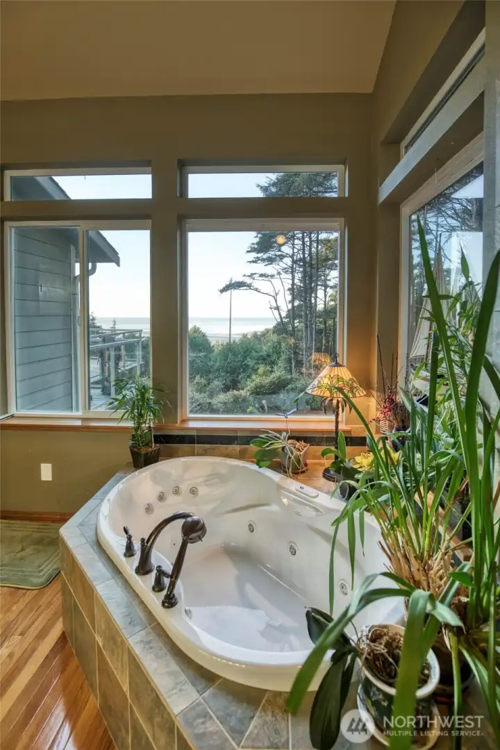 The view from the tub and shower is spectacular and very private!