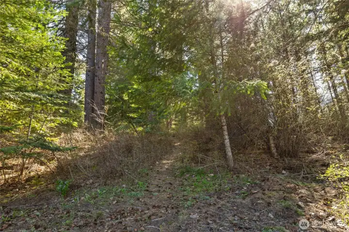 Roslyn Urban Forest is directly behind your house for endless adventure.