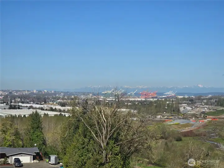 Ruston Way and Olympic Mountains.