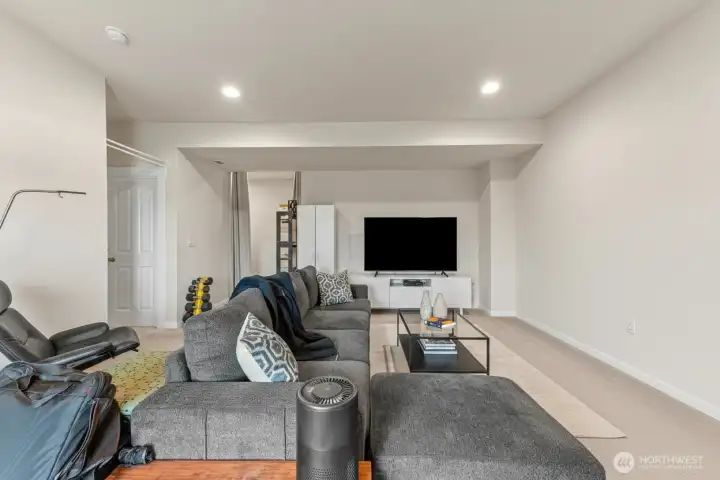 Lower level living room