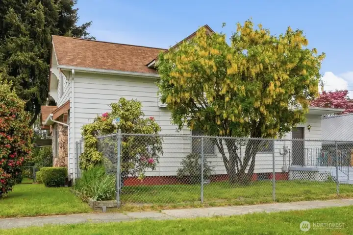 Fenced Yard