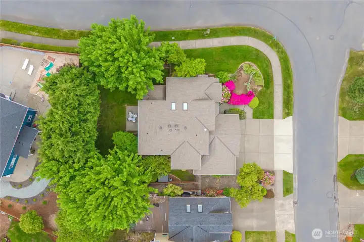 Aerial view highlighting mature trees, clean architectural lines, and a private backyard setting.