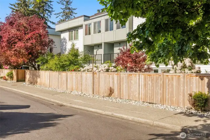 modern siding & exterior
