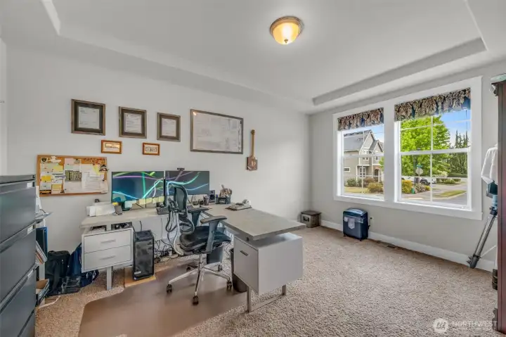 Versatile main-floor den with large windows, tray ceiling detail, and abundant natural light—ideal for a home office, guest room, hobby space, or study. Versatile main-floor den with large windows, tray ceiling detail, and abundant natural light—ideal for a home office, guest room, hobby space, or study.
