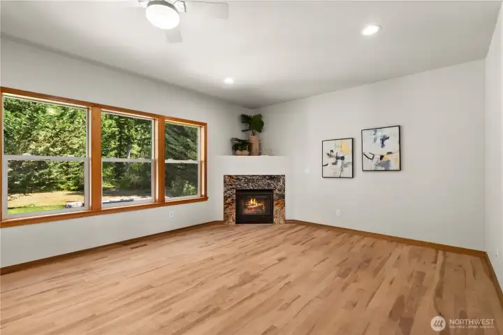 Gas fireplace Gas fireplace