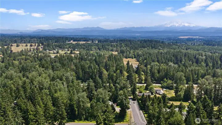 Mt Rainier views Mt Rainier views