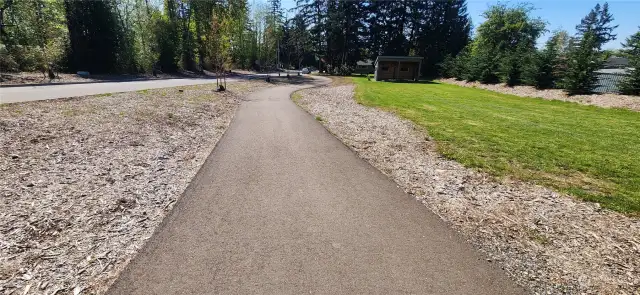 one of the many paved walking trails through the East Maple Ridge development