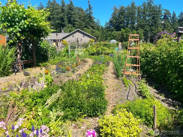 Near the Community Gardens