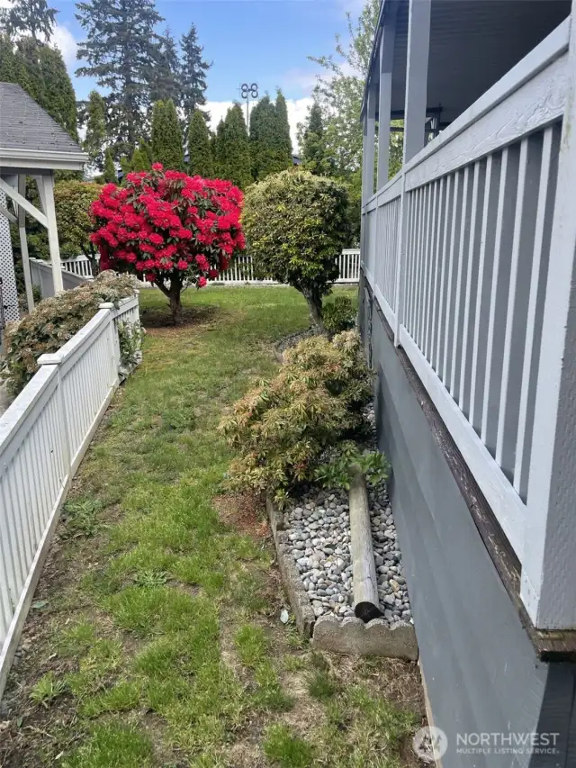 Fully fenced Yard