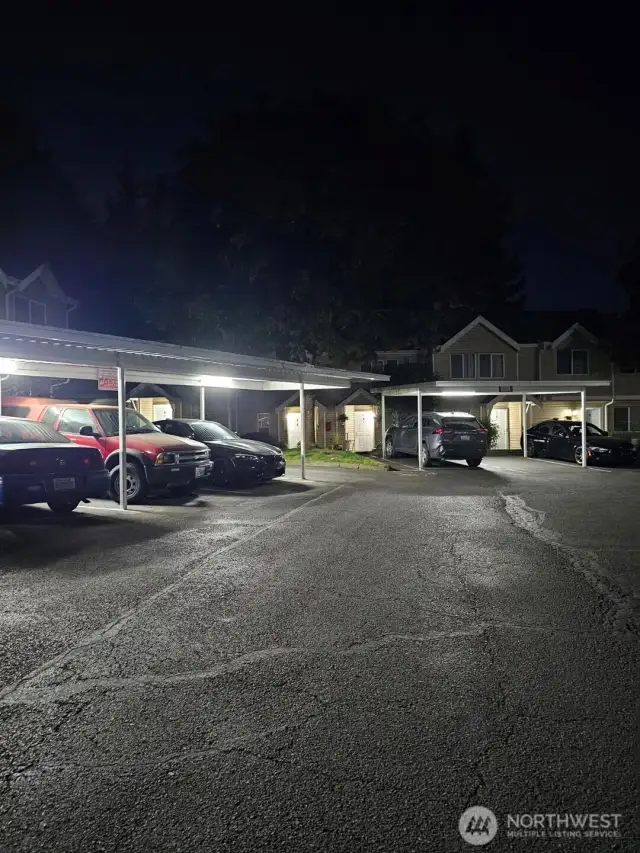 area at night