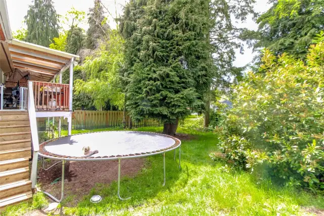 Tenant side backyard