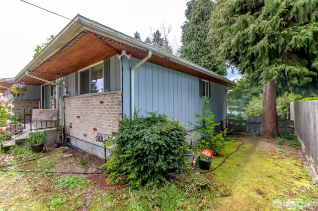 Tenant side yard