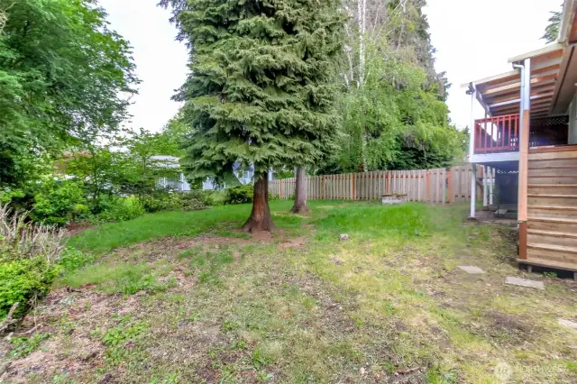 Vacant side back yard