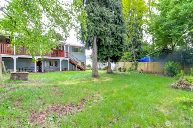 Vacant side back yard