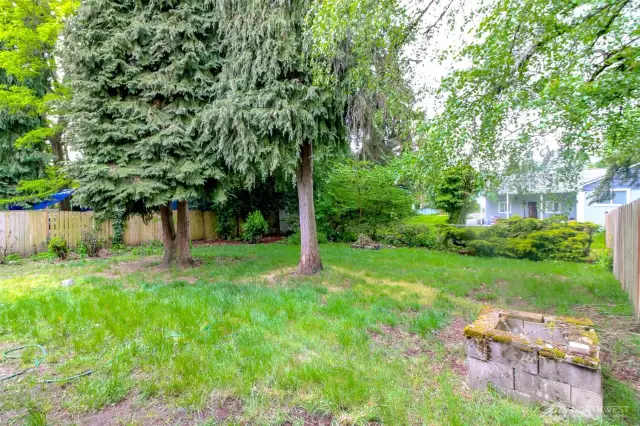 Vacant side back yard