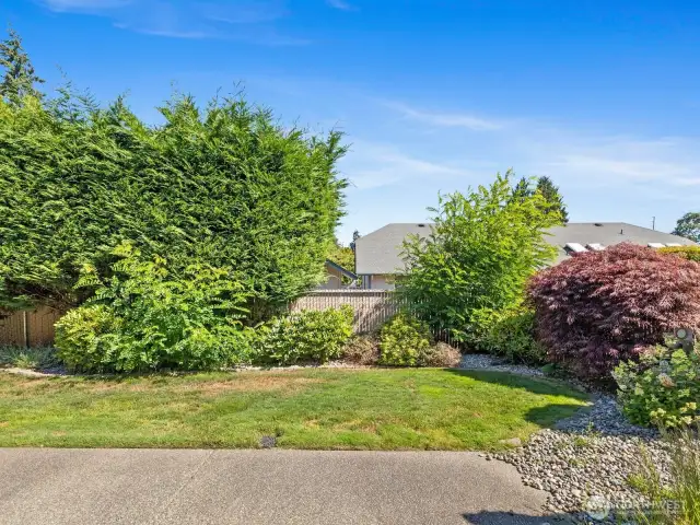 Gorgeous and private back yard