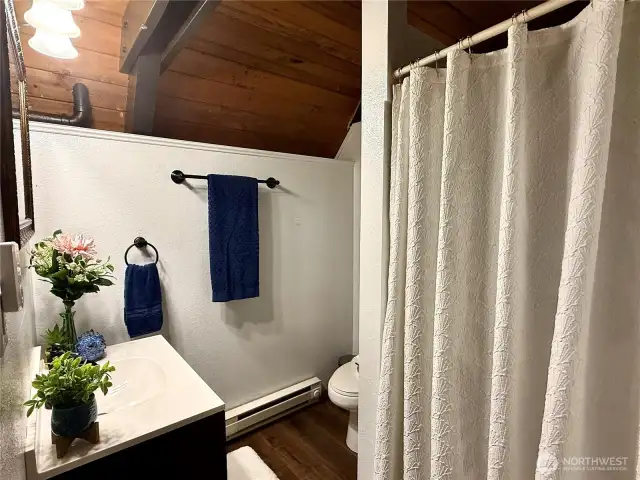 Bathroom downstairs w/ shower and vanity.