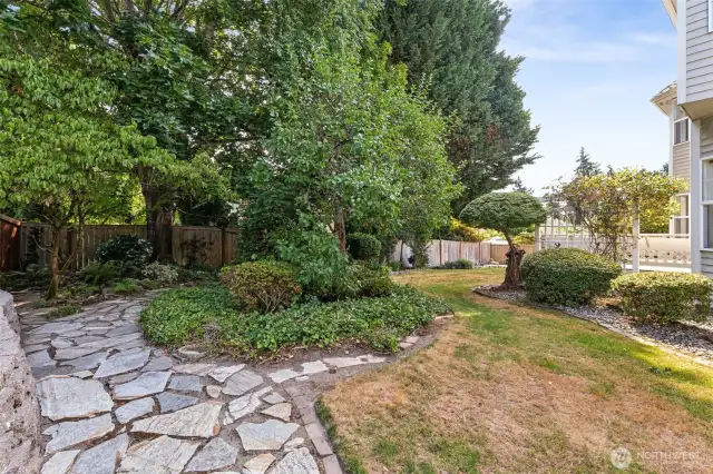 Mature oasis of vegetation and landscape design.