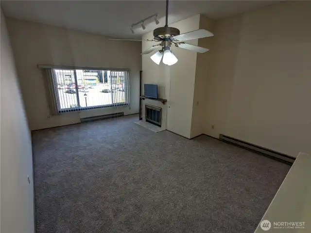 Vaulted ceilings & fan