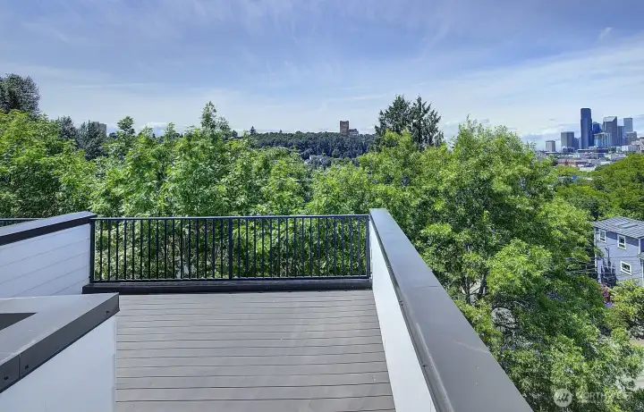 Rooftop Deck with City Views