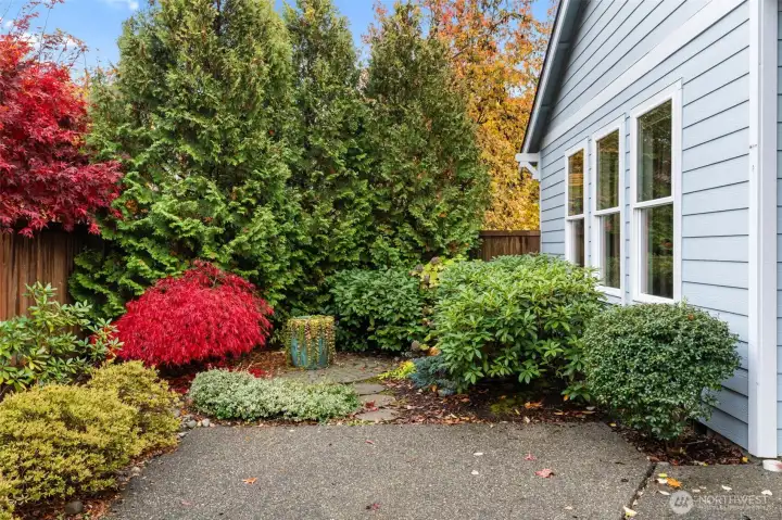 no upkeep beautiful and private backyard