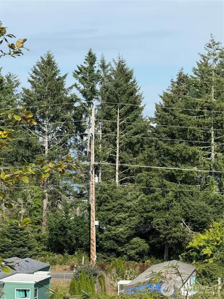 Peekaboo view of Willapa Bay
