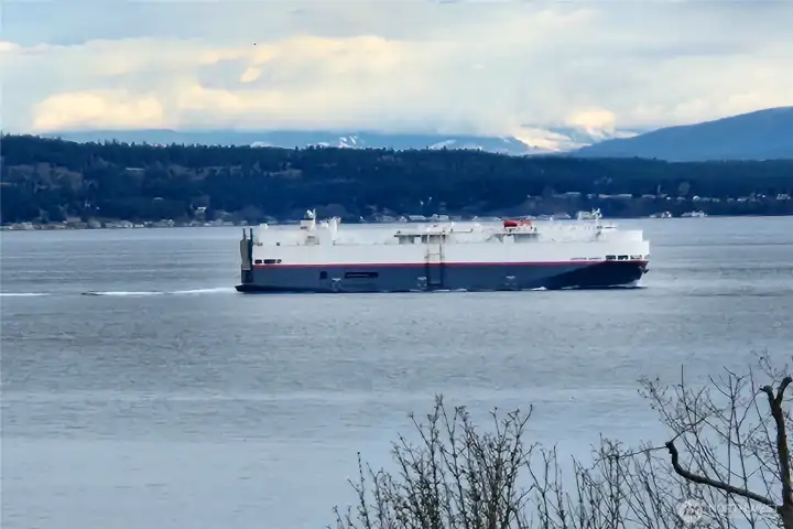 So fun to see the magnificant ships coming and going.