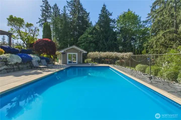 Pool, pool deck, looking from north end under pergula