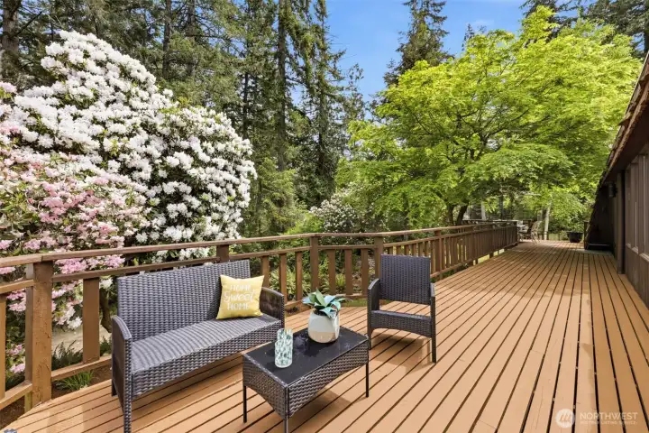 another view of the expansive deck