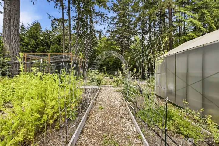 garden area