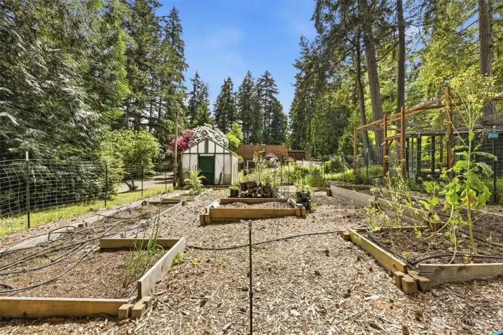 raised beds