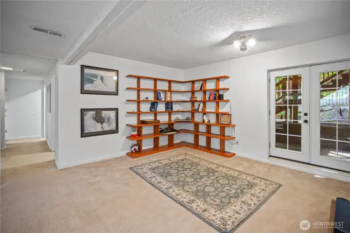 Lower Floor Family Room/Rec Room opening to the backyard