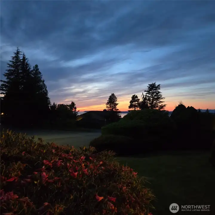 Your side yard evening view Your side yard evening view