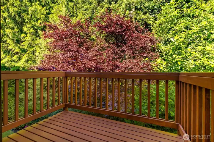 Primary private deck