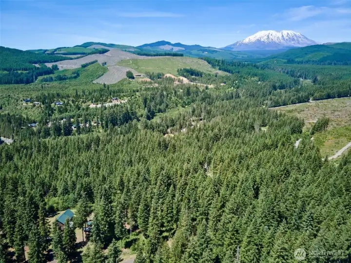Aerial View of Mt. St. Helens