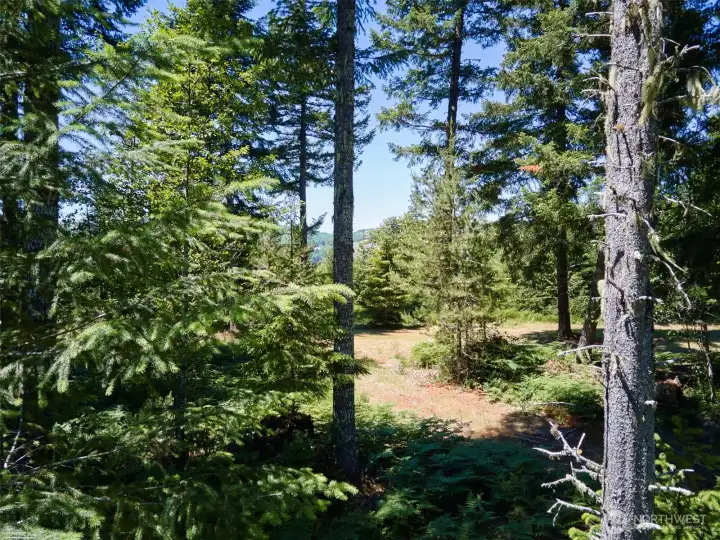 View into property