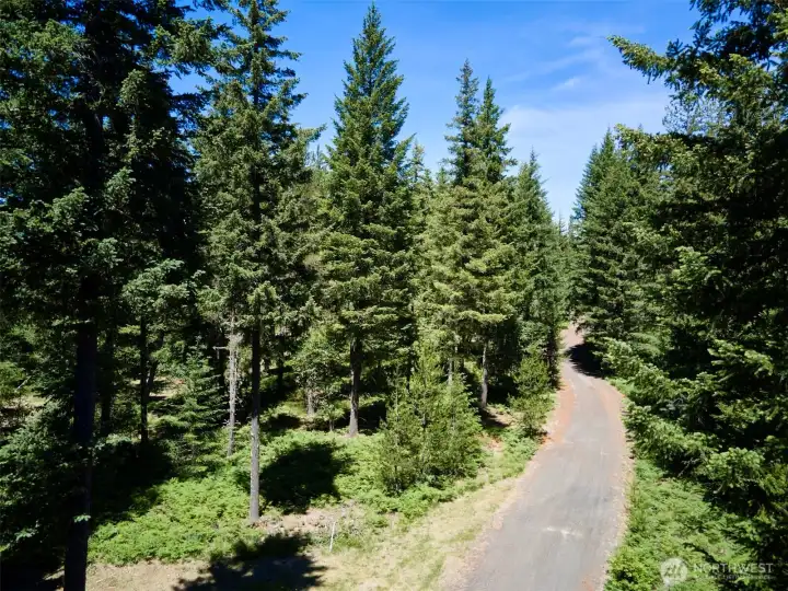 Loowit Lane to driveway