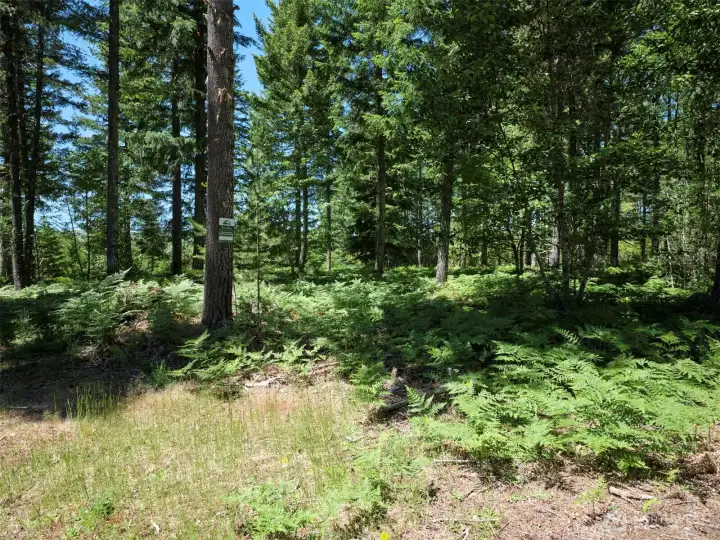 Entrance to property