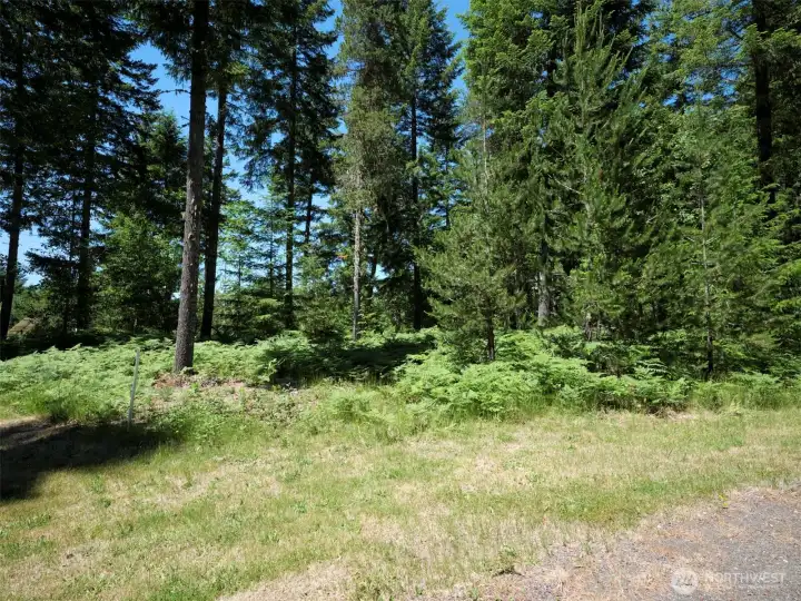 Entrance to property