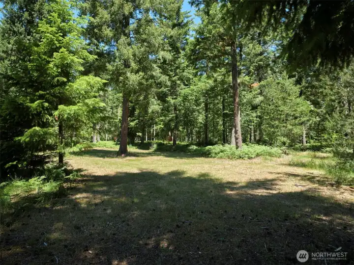 Acreage/Homesite