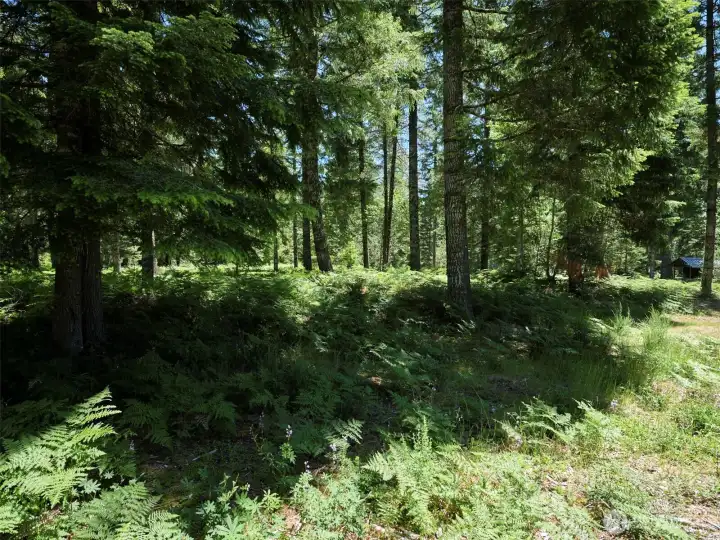 Acreage