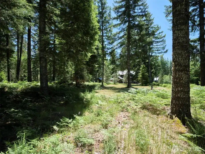 Acreage